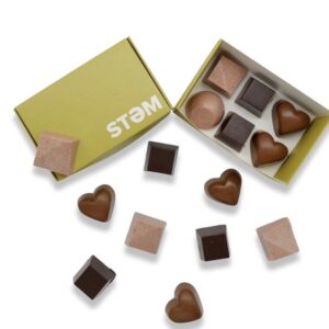STEM 1/2 Gram Mushroom Chocolates (6 pack)